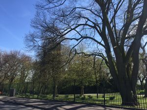 Photo 10- click for photo gallery